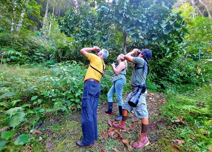 Canto Del Tucan Lodge And Farm
