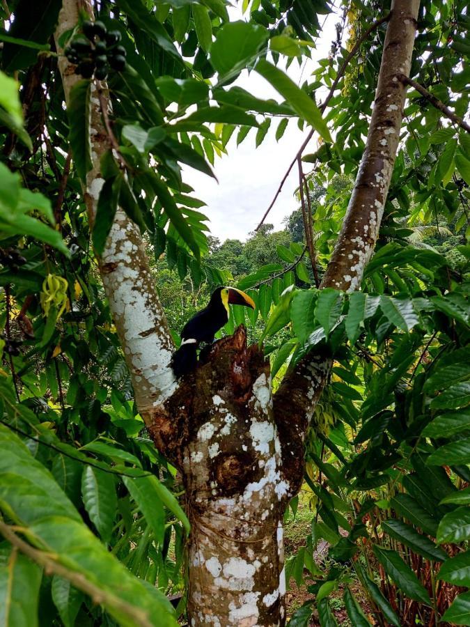 Canto Del Tucan And Farm Agroturismo
