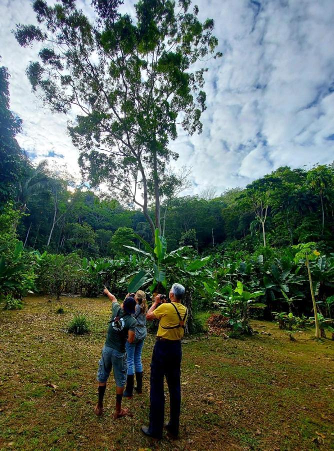 Canto Del Tucan And Farm Agroturismo *