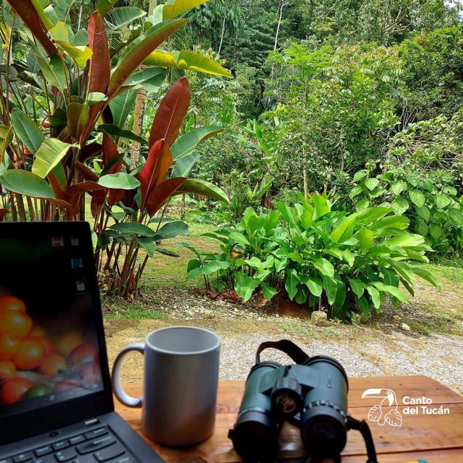 Canto Del Tucan And Farm Agroturismo Golfito
