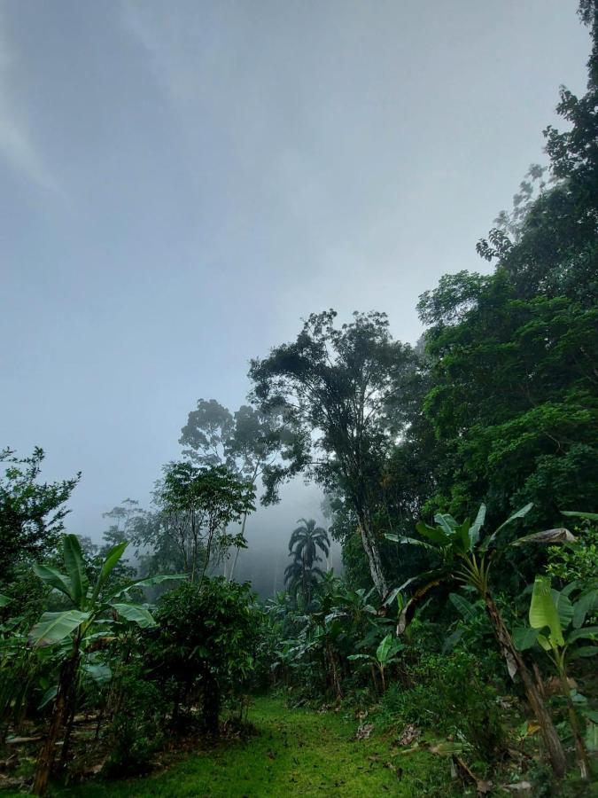 Canto Del Tucan And Farm