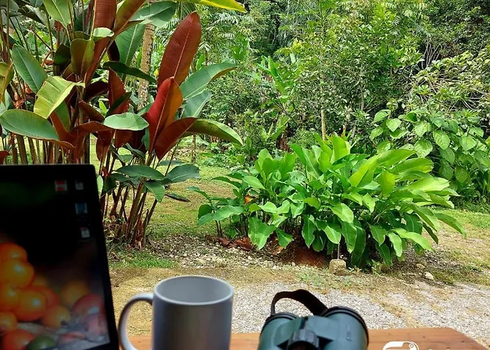 Canto Del Tucan Lodge And Farm