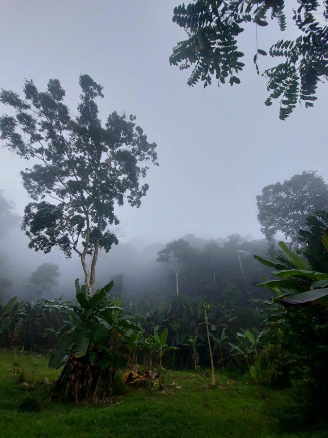 Canto Del Tucan And Farm *